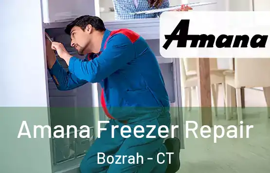  Amana Freezer Repair Bozrah - CT
