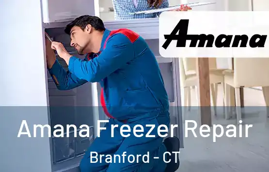  Amana Freezer Repair Branford - CT