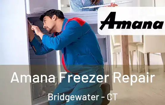  Amana Freezer Repair Bridgewater - CT