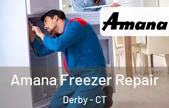  Amana Freezer Repair Derby - CT