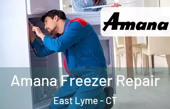  Amana Freezer Repair East Lyme - CT