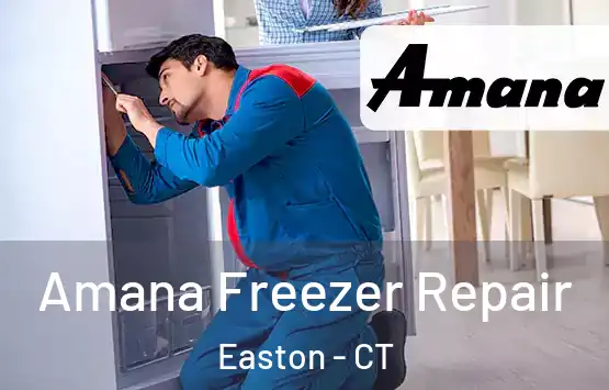  Amana Freezer Repair Easton - CT