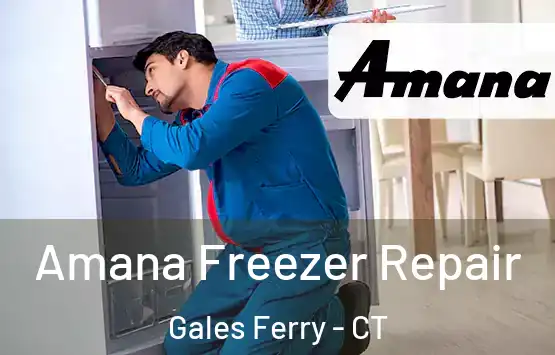  Amana Freezer Repair Gales Ferry - CT