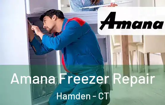  Amana Freezer Repair Hamden - CT