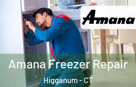  Amana Freezer Repair Higganum - CT