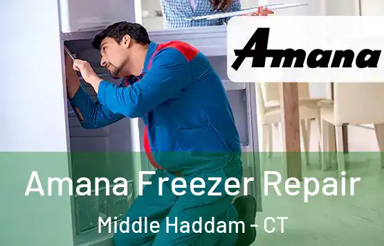  Amana Freezer Repair Middle Haddam - CT