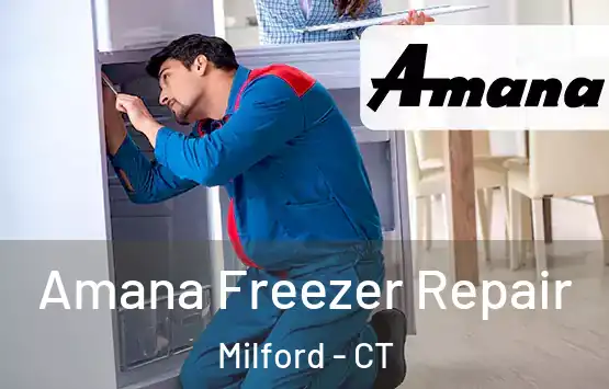  Amana Freezer Repair Milford - CT