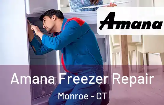  Amana Freezer Repair Monroe - CT