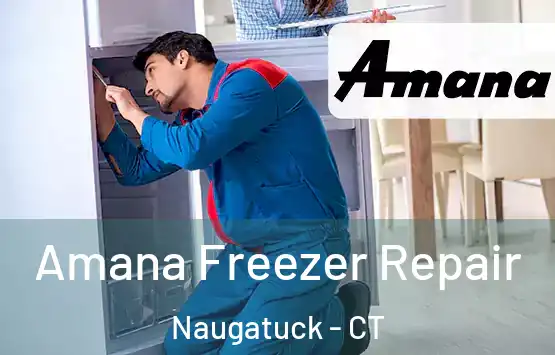  Amana Freezer Repair Naugatuck - CT