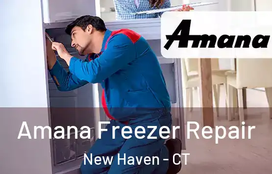  Amana Freezer Repair New Haven - CT