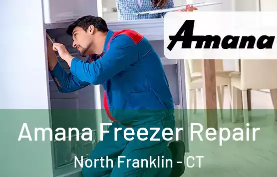  Amana Freezer Repair North Franklin - CT