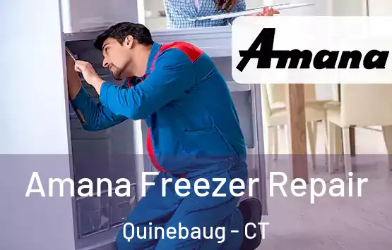  Amana Freezer Repair Quinebaug - CT