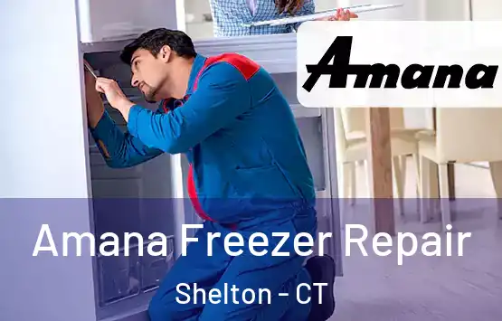  Amana Freezer Repair Shelton - CT