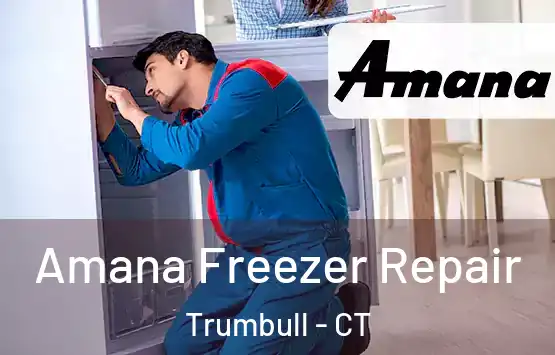  Amana Freezer Repair Trumbull - CT