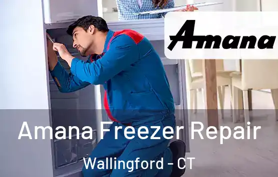  Amana Freezer Repair Wallingford - CT