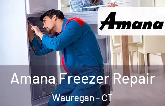 Amana Freezer Repair Wauregan - CT