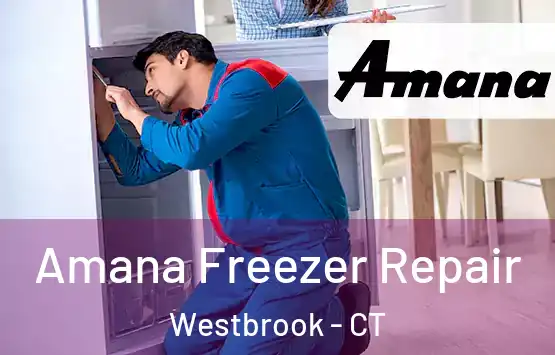  Amana Freezer Repair Westbrook - CT