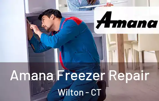  Amana Freezer Repair Wilton - CT