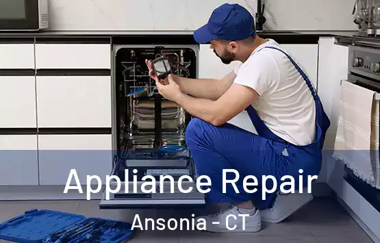  Appliance Repair Ansonia - CT