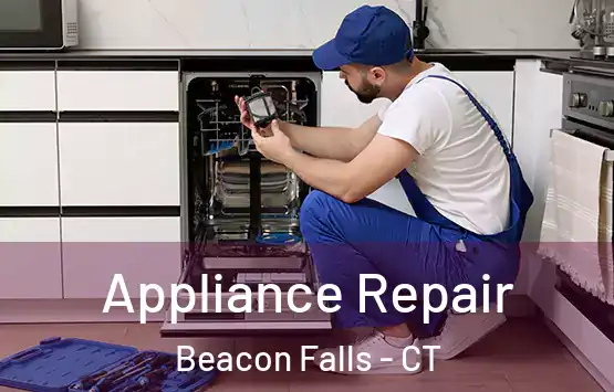  Appliance Repair Beacon Falls - CT