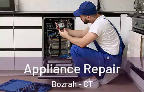  Appliance Repair Bozrah - CT