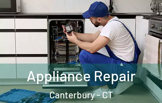  Appliance Repair Canterbury - CT