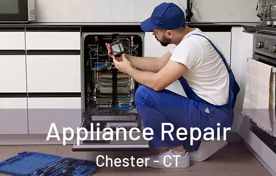  Appliance Repair Chester - CT