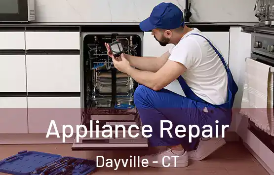  Appliance Repair Dayville - CT
