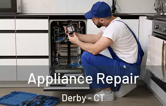 Appliance Repair Derby - CT