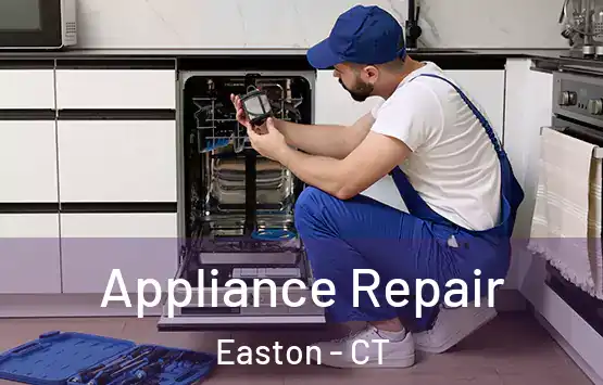 Appliance Repair Easton - CT