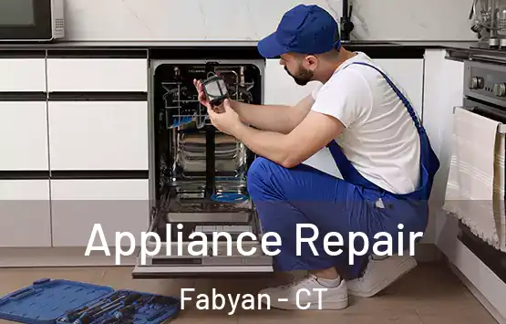  Appliance Repair Fabyan - CT