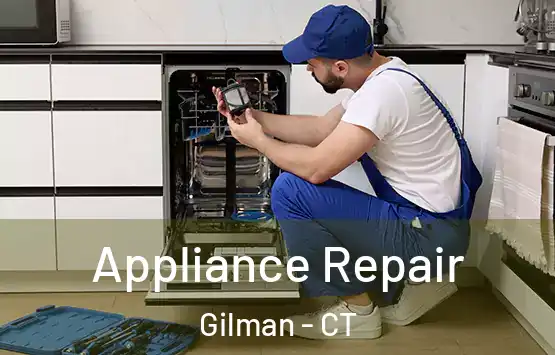  Appliance Repair Gilman - CT