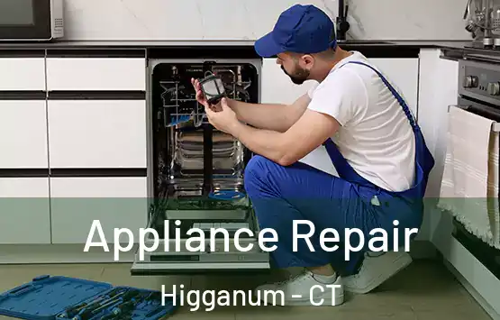  Appliance Repair Higganum - CT