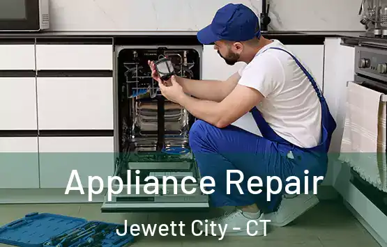  Appliance Repair Jewett City - CT