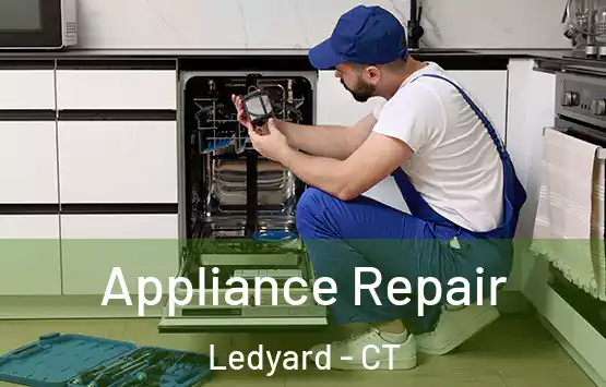  Appliance Repair Ledyard - CT