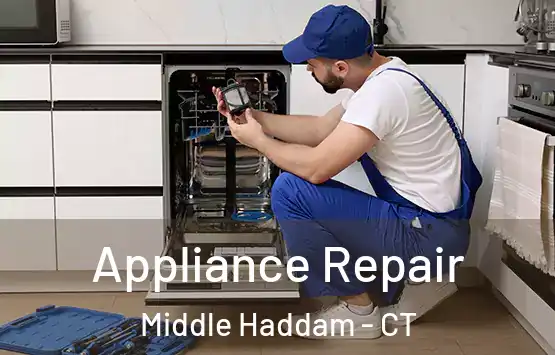  Appliance Repair Middle Haddam - CT