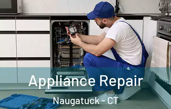  Appliance Repair Naugatuck - CT