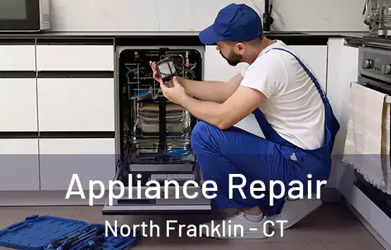  Appliance Repair North Franklin - CT