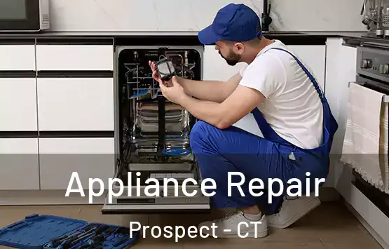  Appliance Repair Prospect - CT