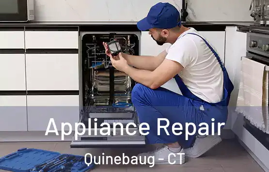  Appliance Repair Quinebaug - CT