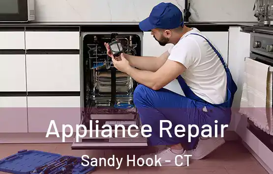  Appliance Repair Sandy Hook - CT