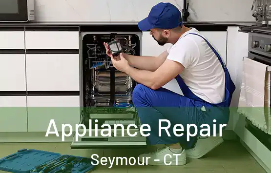  Appliance Repair Seymour - CT
