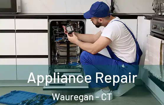  Appliance Repair Wauregan - CT