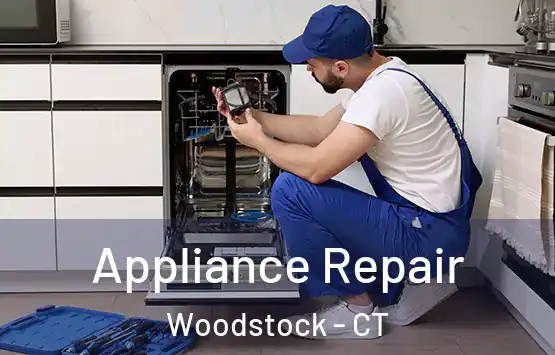  Appliance Repair Woodstock - CT