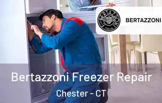  Bertazzoni Freezer Repair Chester - CT