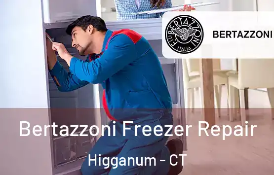  Bertazzoni Freezer Repair Higganum - CT