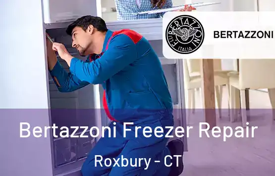  Bertazzoni Freezer Repair Roxbury - CT
