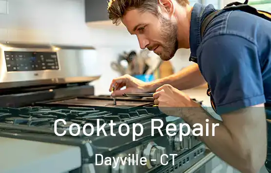  Cooktop Repair Dayville - CT