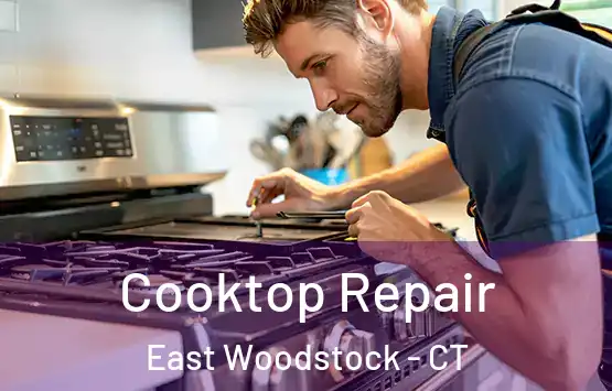  Cooktop Repair East Woodstock - CT