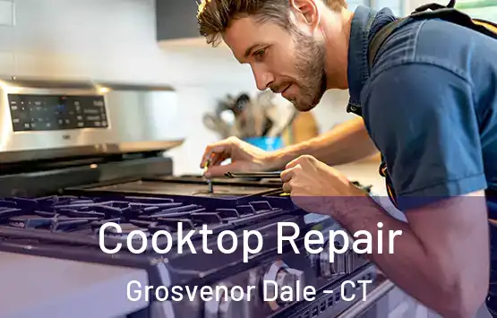  Cooktop Repair Grosvenor Dale - CT